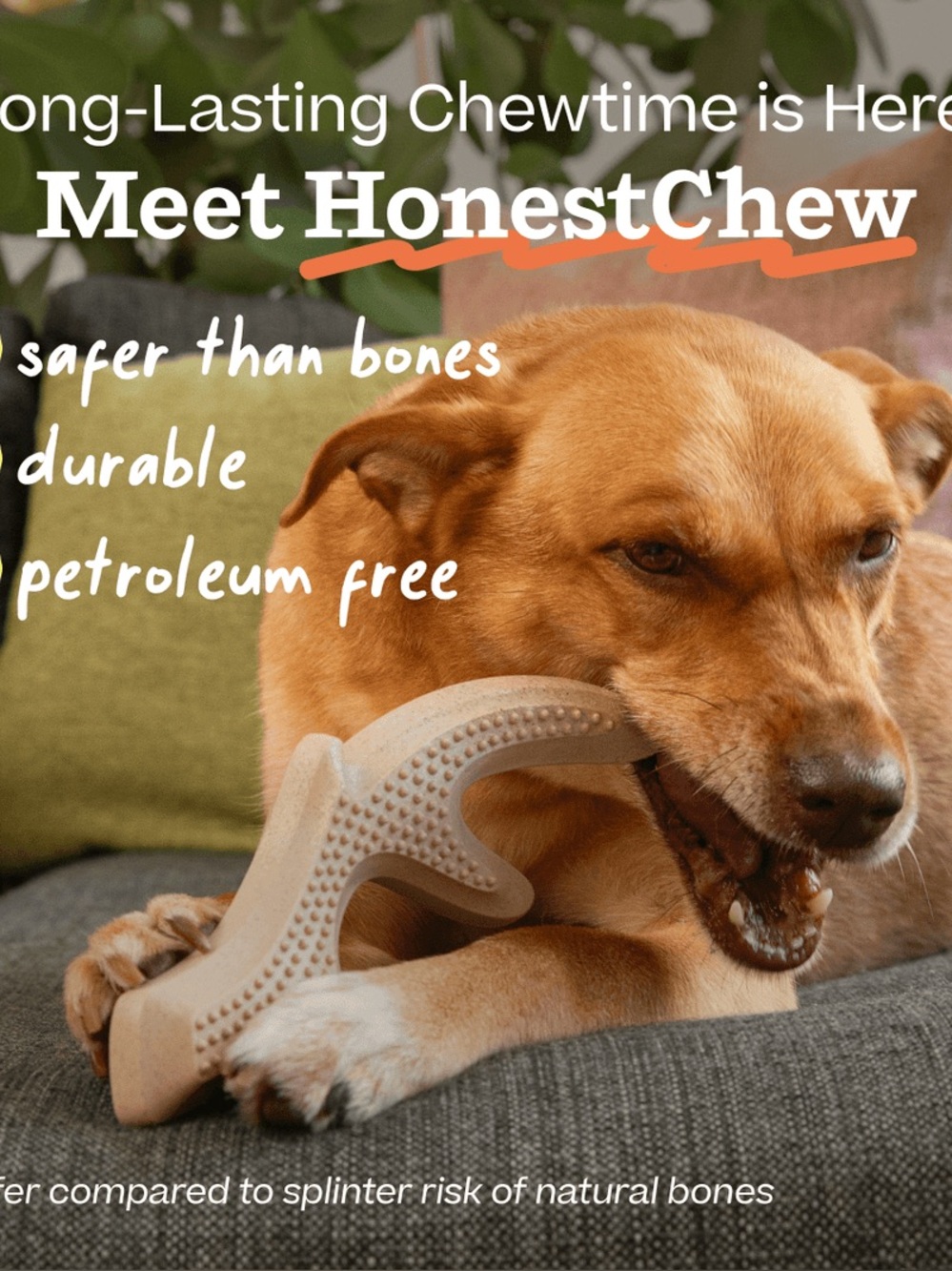 NWT - Woof HonestChew - Durable Dog Chew Toy - Picture 3 of 4